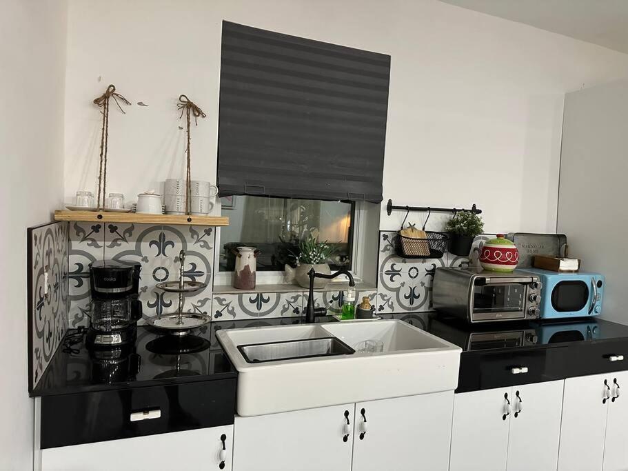 Flora'S Garden Apartment/Studio North Miami Extérieur photo