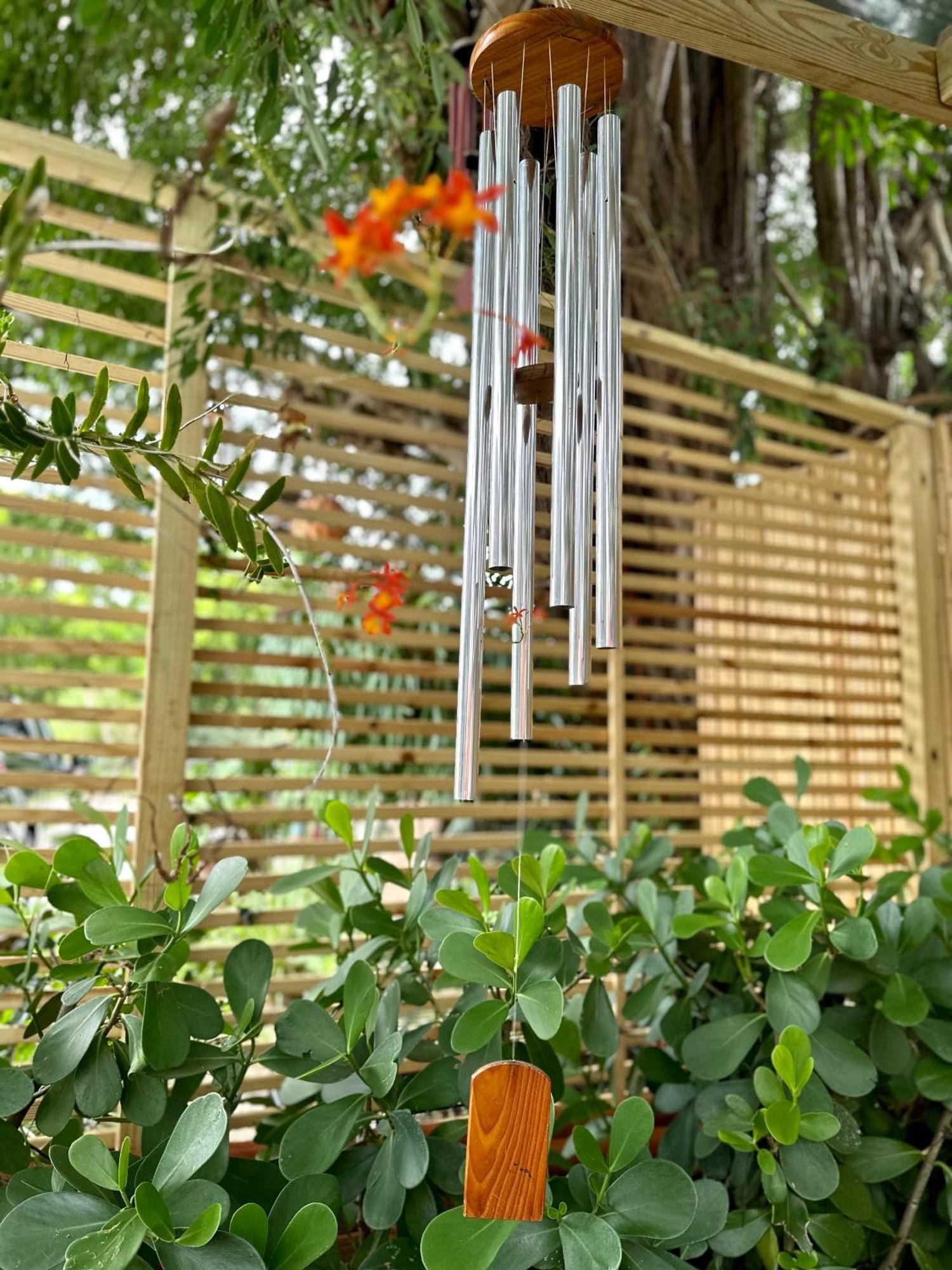 Flora'S Garden Apartment/Studio North Miami Extérieur photo